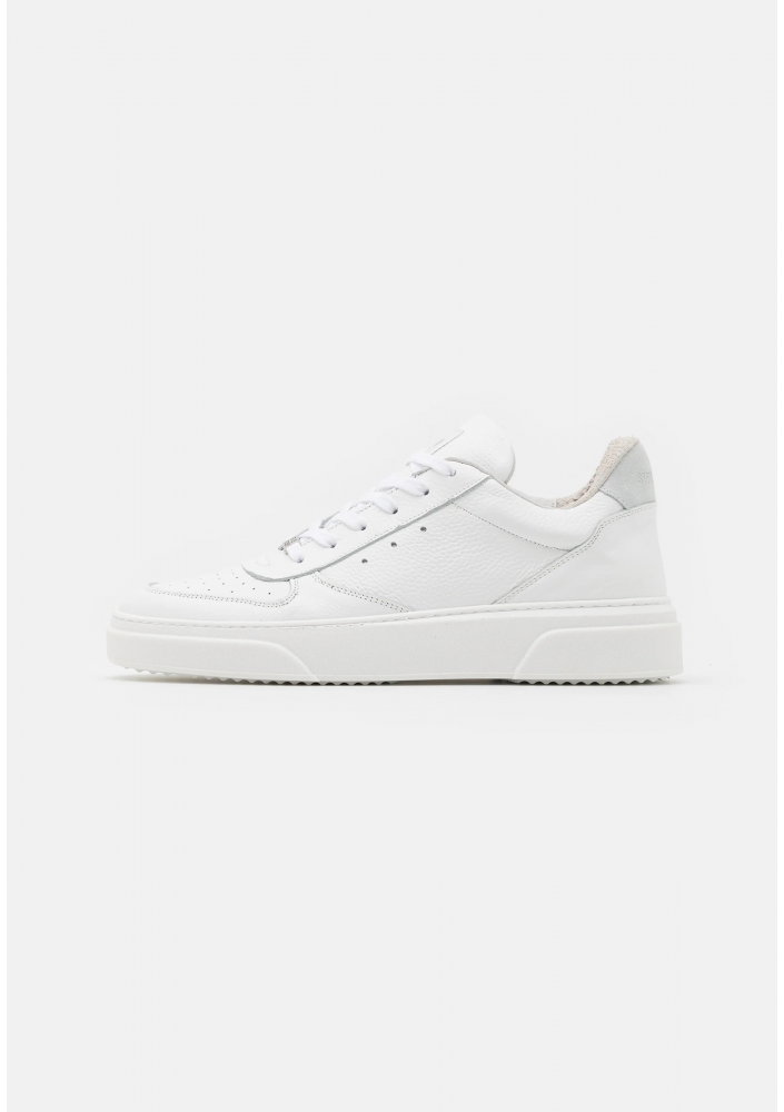 Steve Madden - BRENT - Sneakersy niskie
