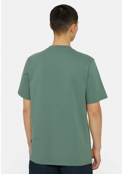 Dickies ICON LOGO TEE - T-shirt z nadrukiem