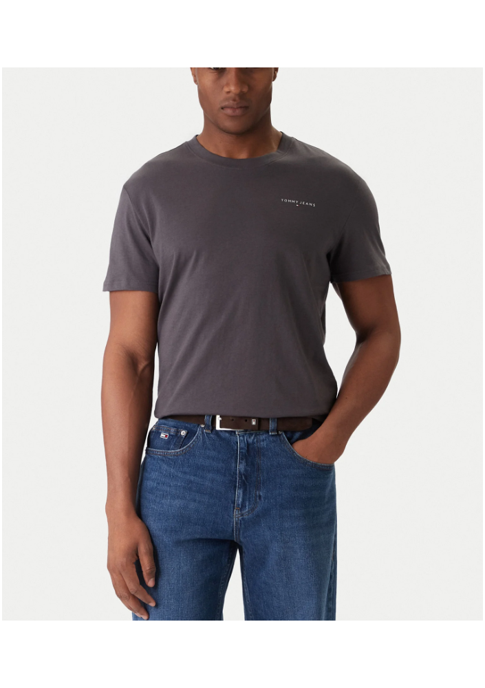 Tommy Jeans T-Shirt Linear Chest DM0DM21780 Szary Slim Fit